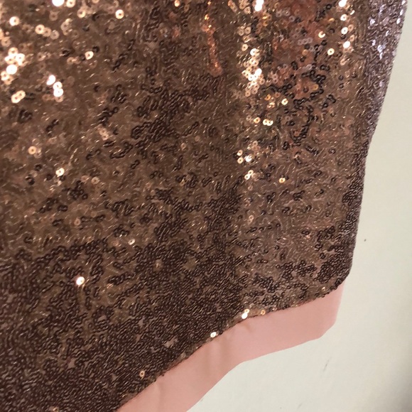 Blush Colored Sequence Glitter Chiffon Top - Picture 5 of 8